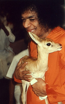 Beloved Bhagawan Sri Sathya Sai Baba